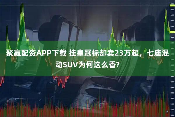 聚赢配资APP下载 挂皇冠标却卖23万起，七座混动SUV为何这么香?