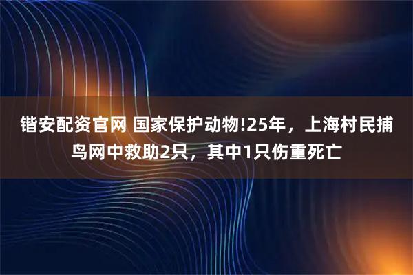 锴安配资官网 国家保护动物!25年，上海村民捕鸟网中救助2只，其中1只伤重死亡